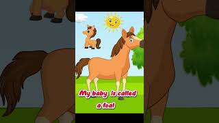 I am Horse  learning  The Horse Song  Farm Animals Songs  Horses for Kids  Nursery Rhymes [upl. by Rodrique]