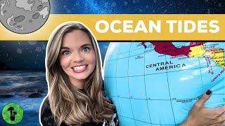 Ocean Tides Explained  Spring amp Neap Tides [upl. by Rubinstein]