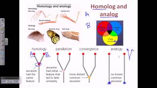 Bioinformatics part 17 homolog analog xenolog [upl. by Nylarak]