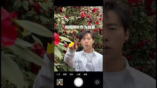 山茶花拍照修图全攻略 photography selfie streetphotography phototips portraitphotography [upl. by Akeihsal]