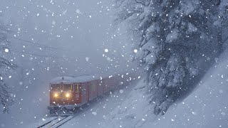 Blustering Snowstorm Sounds for Sleeping┇Raging Winter Storm┇Cold Atmosphere of a Northern Blizzard [upl. by Crellen]