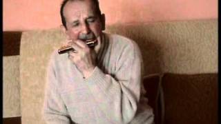 Walentyna Twist Harmonica gra Mieczysław Lipowski [upl. by Surtemed]