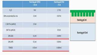 Prepare 4 stacking and 10 Running or Separating Gels in SDSPAGE Protocol [upl. by Retsel]