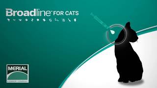 วิธีการใช้ ยาหยด Broadline For Cat [upl. by Tutt]