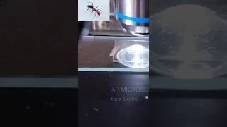 AP MICROSCOPE 52microscope microccopvideohowtomicroscopvideo [upl. by Laenej]