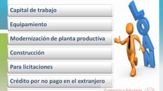 Tipos de Financiamiento Para La Exportación [upl. by Alida]