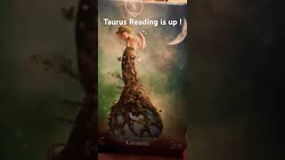 Taurus reading is up tarot love tarotcards oracle taurus tarotcommunity tarotreading [upl. by Eatton]