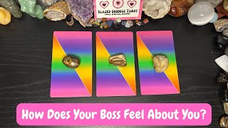 Your BOSS’S Current FEELINGS Towards You 💚 Pick a Card Timeless Tarot Love Reading ✨ [upl. by Korns]