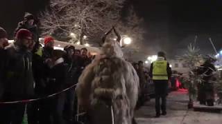 Perchtenlauf 2017 in Zwettl [upl. by Akema259]