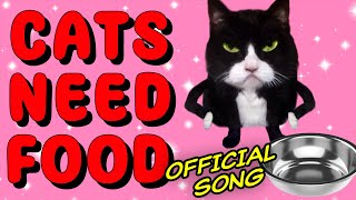 ♪ ♪ Funny Cat Song – Cat Toilet  Hooray Kids Songs amp Nursery Rhymes  Funny Animal Songs [upl. by Tratner]