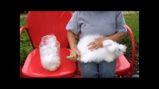 English Angora Wool Dying it Spinning it Crocheting it [upl. by Zoi]