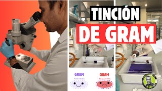 Tinción de Gram El secreto para desenmascarar a las bacterias [upl. by Anilemrac504]