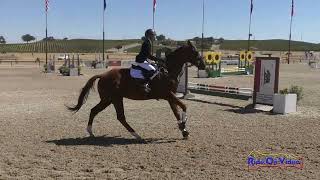 231S Mia Budelli on Armani Starter Show Jumping Twin Rivers Ranch Sept 2024 [upl. by Selway]