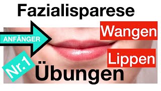 Nr1 Gesichtslähmung verbessern 4 Übungen für Lippen  Wangen Fazialisparese AnfängerDehnungen [upl. by Warrick970]