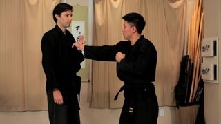 How to Do the Ura Gyaku Technique  Ninjutsu Lessons [upl. by Reginauld928]