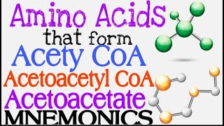 Amino Acids that form Acetyl CoA Acetoacetyle CoA or Acetoacetate MNEMONICS  Lecture 7 [upl. by Catharina]