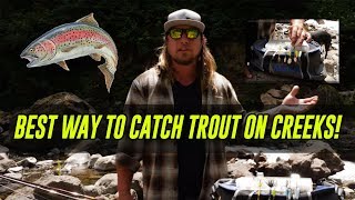 ALL TIME Best Way To Catch TROUT In Creeks Rivers amp Streams  In Depth HOW TO [upl. by Goodhen388]