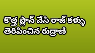 థాంక్స్ రుద్రాణి గారు పెద్ద పార్టీ చేసుకుందాం తాతయ్య tulacreations [upl. by Arbuckle686]