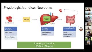 Webinar Neonatal Jaundice and Hyperbilirubinemia [upl. by Etan372]