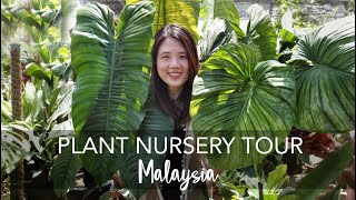 Plant Nursery Tour in Malaysia  Exotic Rare amp OVERSIZED Tropical Plants with 40 plant IDs [upl. by Ahsrats]