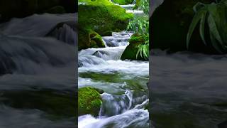 natural beauty waterfull 😱😍🥀nature travel shortsfeed shortvideo [upl. by Nnalatsyrc]