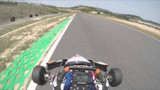 RMCGF 2015 Track test Rotax 125 Junior MAX evo [upl. by Martel]