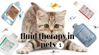 المحاليل وأنواعها للحيوانات الاليفه fluid therapy in pets animal طببيطري [upl. by Sorensen275]