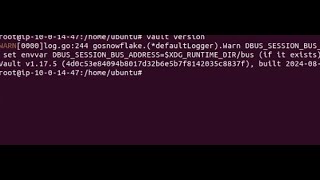 How to solve vault error  gosnowflake DBUSSESSIONBUSADDRESS envvars looks to be not set [upl. by Rehm]