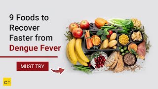 9 Foods to Recover Faster from Dengue Fever or to Increase Platelets  Credihealth [upl. by Pietje]