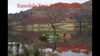 Easedale Tarn  040124 [upl. by Ettelracs]