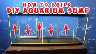 How To Build DIY Aquarium Sump Filtration [upl. by Grochow599]