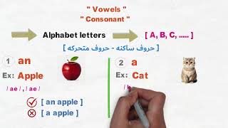 Singular amp Plural Nouns شرح المفرد والجمع في اللغه الانجليزية [upl. by Anura]