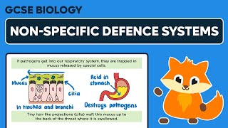 Nonspecific Defence Systems  GCSE Biology [upl. by Terle]