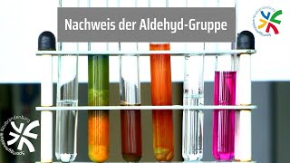 Schiffsche Probe Nachweis der Aldehyd Gruppe [upl. by Amme]