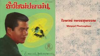 สาละวันรำวง  ไวพจน์ เพชรสุพรรณ  Salawan Ramwong  Waipod Phetsuphan [upl. by Noelyn]