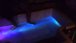 Homemade Pool LED light for UNDER 12 dollars [upl. by Adnirim676]