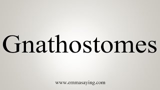 How To Say Gnathostomes [upl. by Laeria]