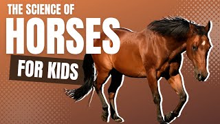 The Science of Horses For Kids by Little Lab  Educational Videos for Toddlers [upl. by Cirri]