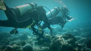 Aldabra Atoll Seychelles marine monitoring 2016 [upl. by Alesram]