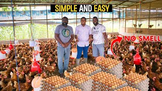 How To Start a Successful Poultry Farm as a BEGINNER in Ghana poultry poultryfarm poultryfarming [upl. by Saiasi806]