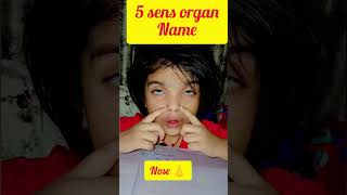 5 sense organs song newsong tseries like loveallahﷻ lovesong vew funny [upl. by Ayokahs939]