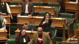 wanita dari suku maori ini membawakan tarian haka tarian perang dari suku nya sebagai bentuk protes [upl. by Schreck873]