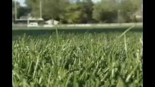 Children and Synthetic Turf with preview of quotSan Francisco Astro Turfing Parksquot [upl. by Gagne320]