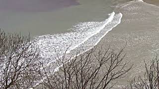 Walking Meditation  Featuring Music By Aakash Gandhi  From Falmouth to Helford Passage  Cornwall [upl. by Analart]