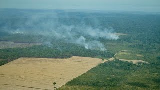 Tracking Amazon Deforestation [upl. by Rust]