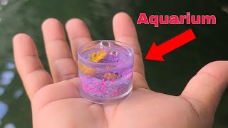 WORLDS SMALLEST Fish AQUARIUM [upl. by Naillimxam]