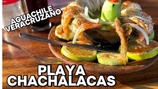 AGUACHILE VERACRUZANO😋EN PLAYA CHACHALACAS VERACRUZ🤭 [upl. by Nama]