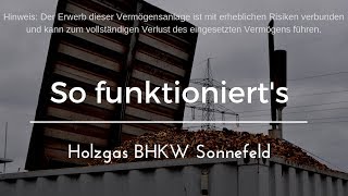 So funktioniert das Holzgas BHKW [upl. by Eaver]