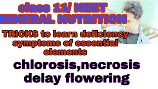 TRICKS to learn deficiency symptoms of essential elements chlorosis necrosisdelay floweringNEET [upl. by Felicdad]