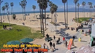 Venice Beach Webcam  Venice Beach Live Cam  venice beach live boardwalk cam [upl. by Nanahs]